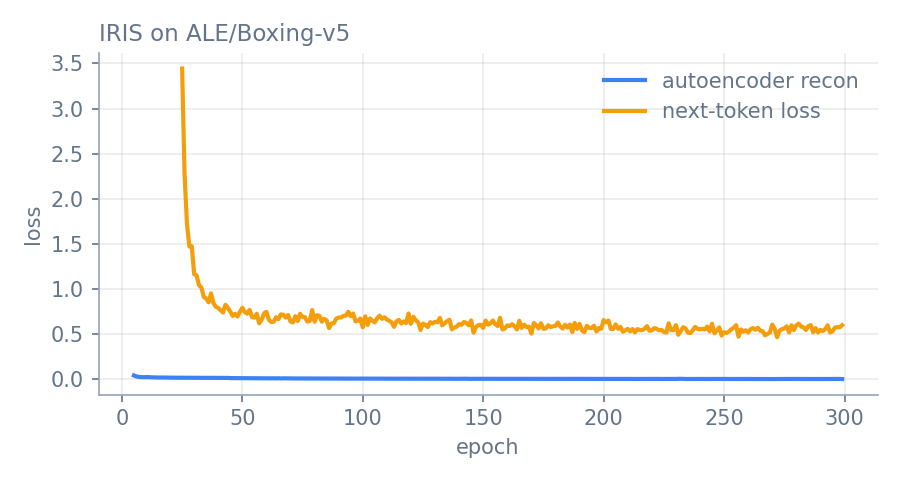 IRIS losses over training